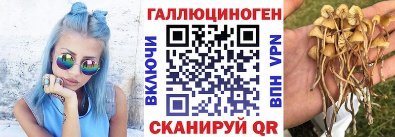 Псилоцибиновые грибы прущие грибы Пудож